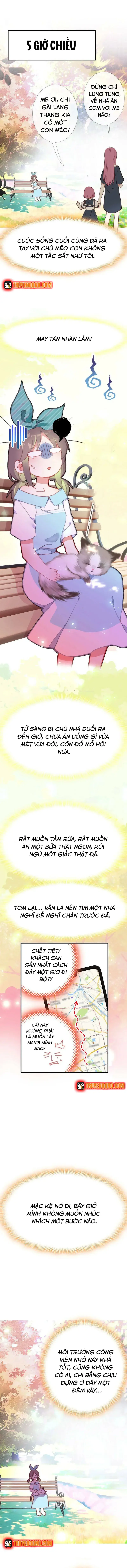 Xách Mèo Vào Ở Chapter 2 - 3