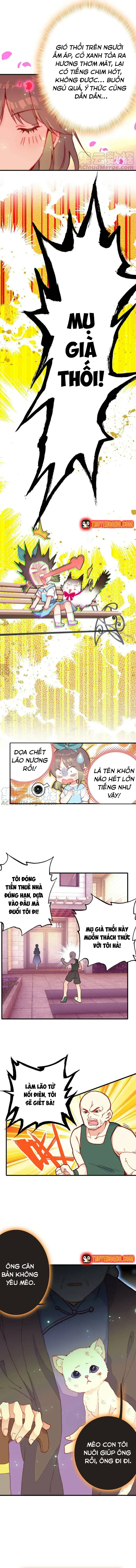 Xách Mèo Vào Ở Chapter 2 - 4