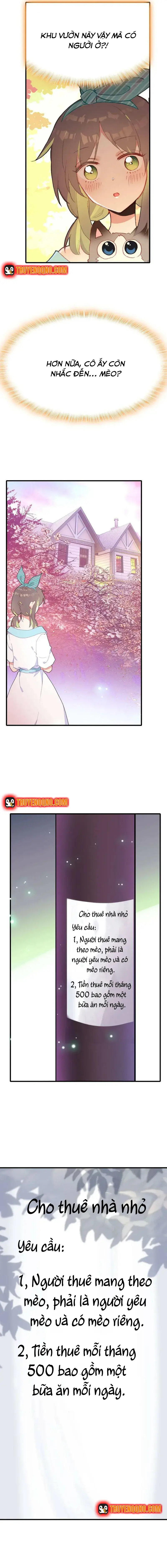 Xách Mèo Vào Ở Chapter 2 - 5