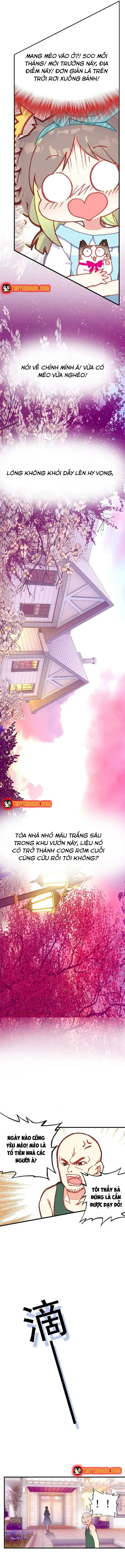 Xách Mèo Vào Ở Chapter 2 - 6