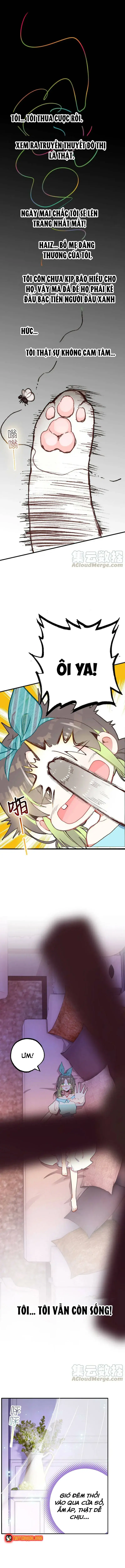 Xách Mèo Vào Ở Chapter 3 - 3