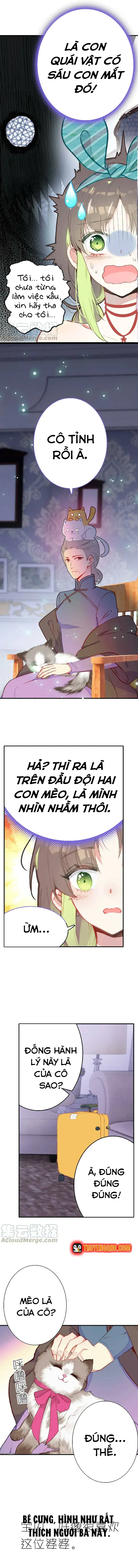 Xách Mèo Vào Ở Chapter 3 - 5