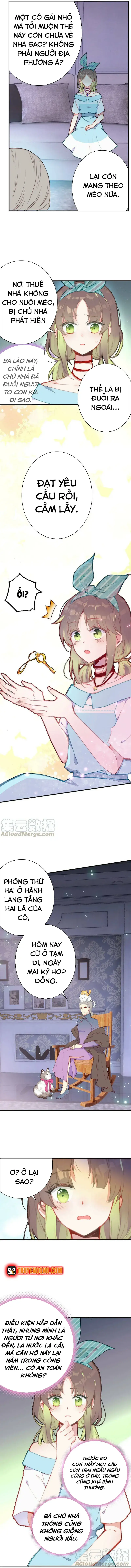 Xách Mèo Vào Ở Chapter 3 - 6