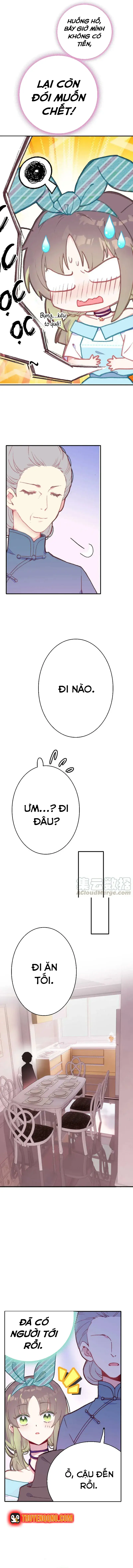 Xách Mèo Vào Ở Chapter 3 - 7