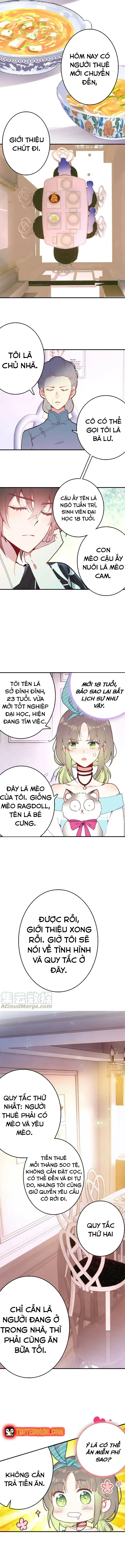 Xách Mèo Vào Ở Chapter 3 - 10
