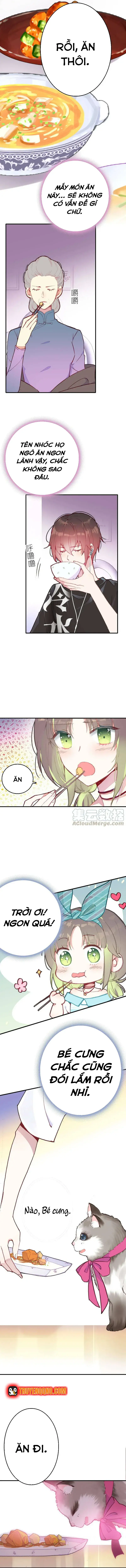 Xách Mèo Vào Ở Chapter 3 - 12