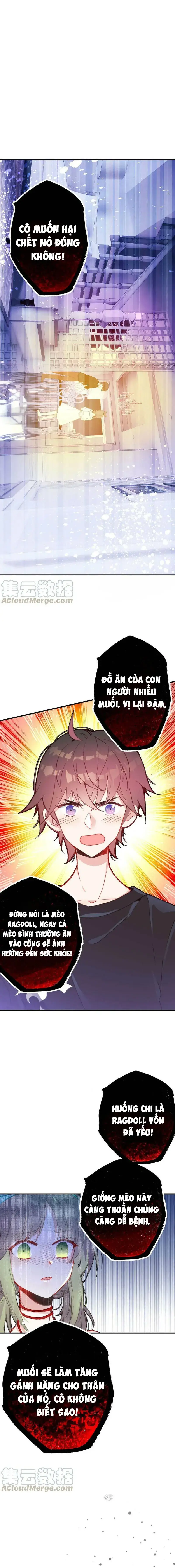 Xách Mèo Vào Ở Chapter 4 - 3