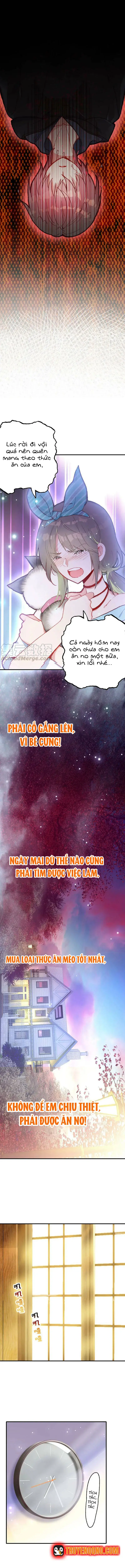 Xách Mèo Vào Ở Chapter 4 - 6