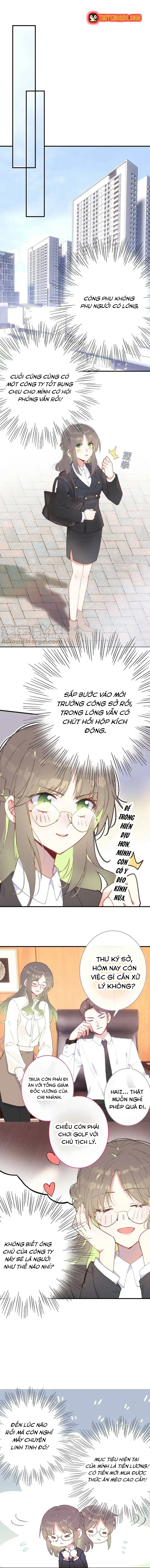 Xách Mèo Vào Ở Chapter 5 - 3