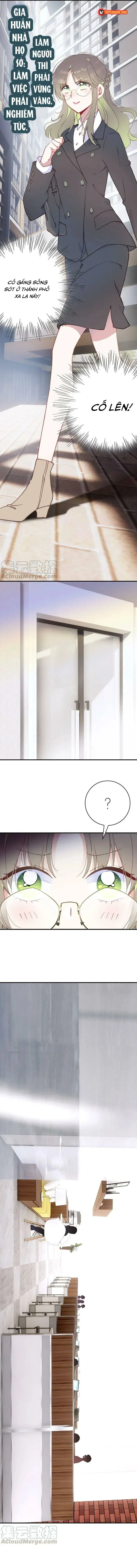 Xách Mèo Vào Ở Chapter 5 - 4