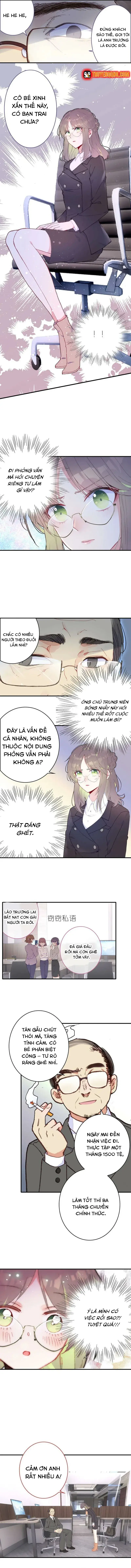 Xách Mèo Vào Ở Chapter 5 - 7