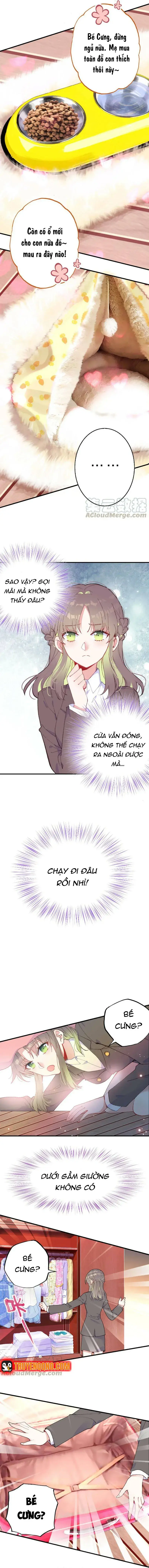 Xách Mèo Vào Ở Chapter 6 - 4