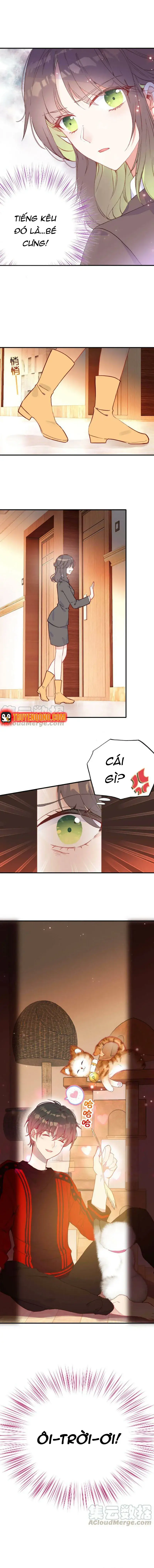 Xách Mèo Vào Ở Chapter 6 - 6