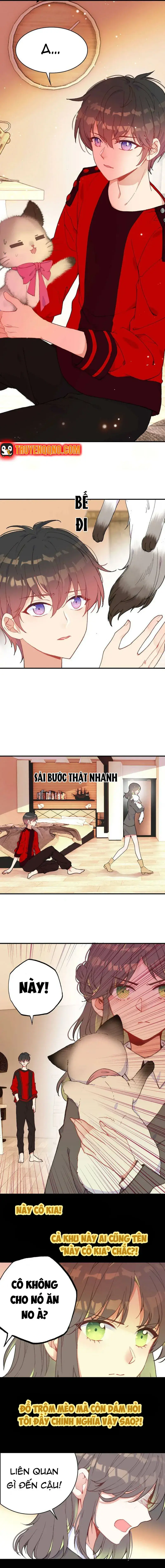 Xách Mèo Vào Ở Chapter 6 - 9