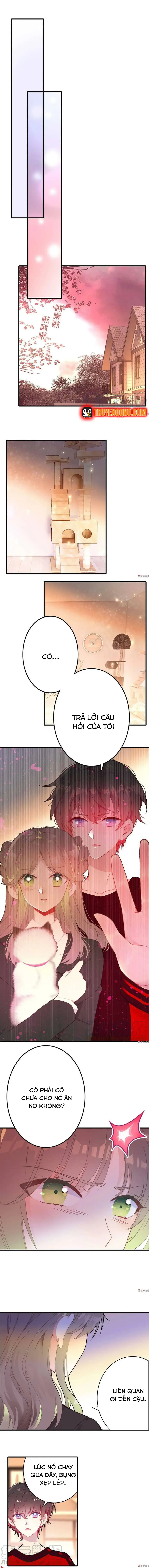 Xách Mèo Vào Ở Chapter 7 - 3