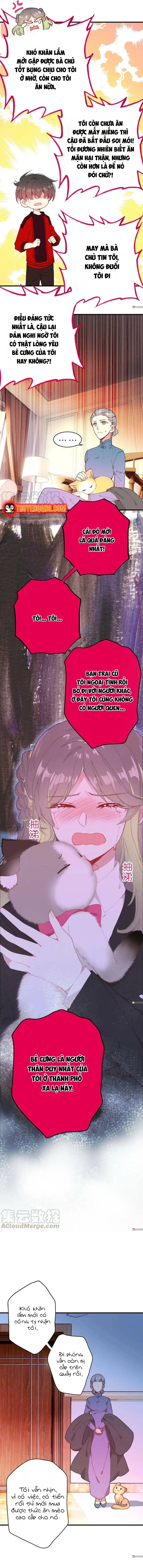 Xách Mèo Vào Ở Chapter 7 - 5