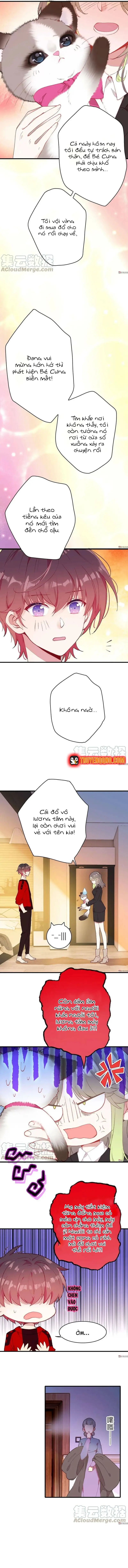 Xách Mèo Vào Ở Chapter 7 - 6