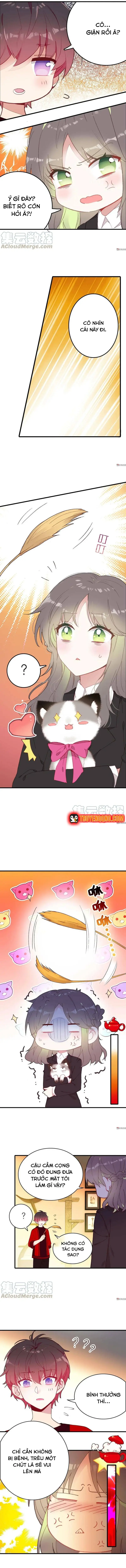 Xách Mèo Vào Ở Chapter 7 - 7