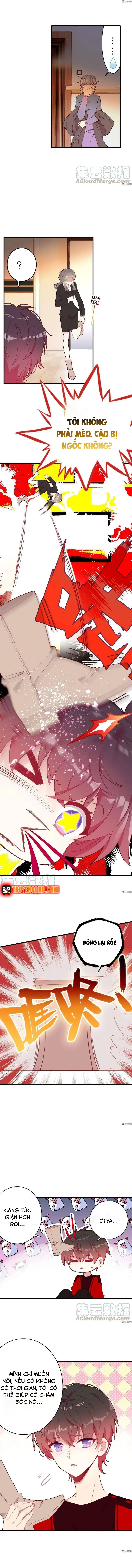 Xách Mèo Vào Ở Chapter 7 - 8