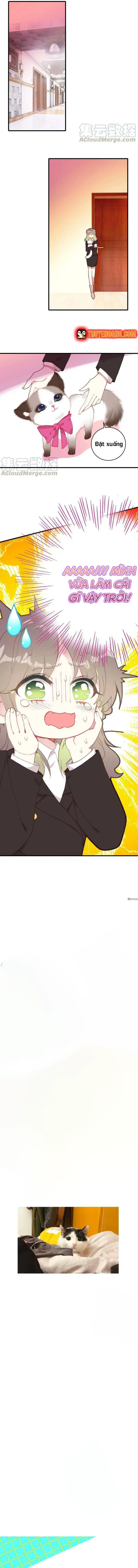 Xách Mèo Vào Ở Chapter 7 - 9