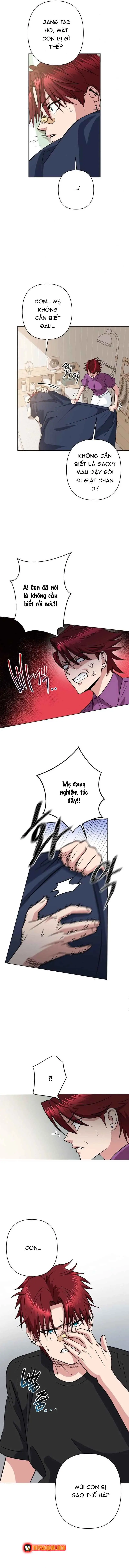 Tên Du Côn Và Tiểu Thư Xã Hội Đen Chapter 1 - 7