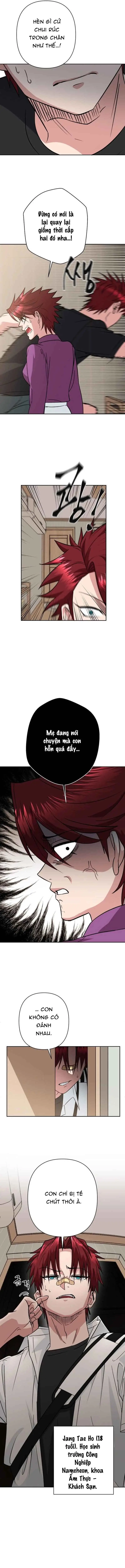 Tên Du Côn Và Tiểu Thư Xã Hội Đen Chapter 1 - 8