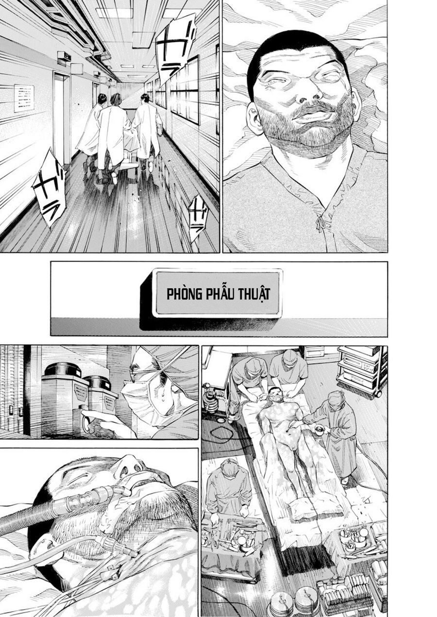 Say Hello To Black Jack Chapter 15 - 13