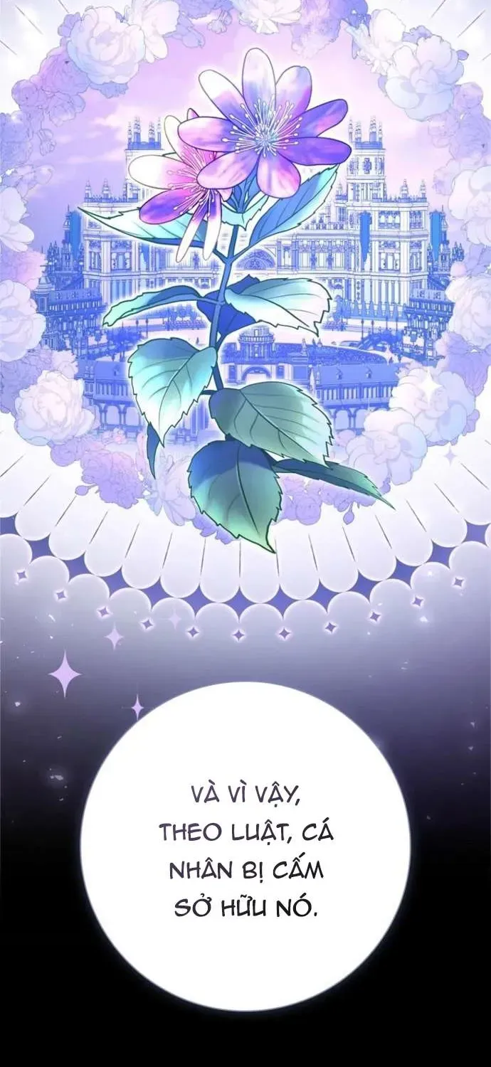 [ Ss2 ] Chồng Của Tôi Giống Nam Chính Quá Đi Chapter 25 - 56