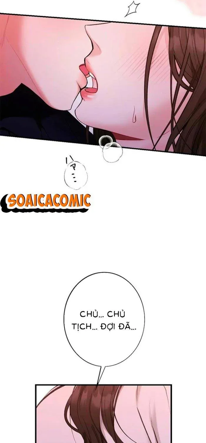 Lần Đầu Của Tổng Tài Chapter 1.1 - 3