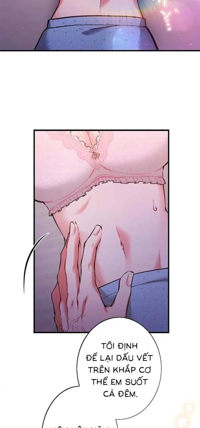 Lần Đầu Của Tổng Tài Chapter 1.1 - 31