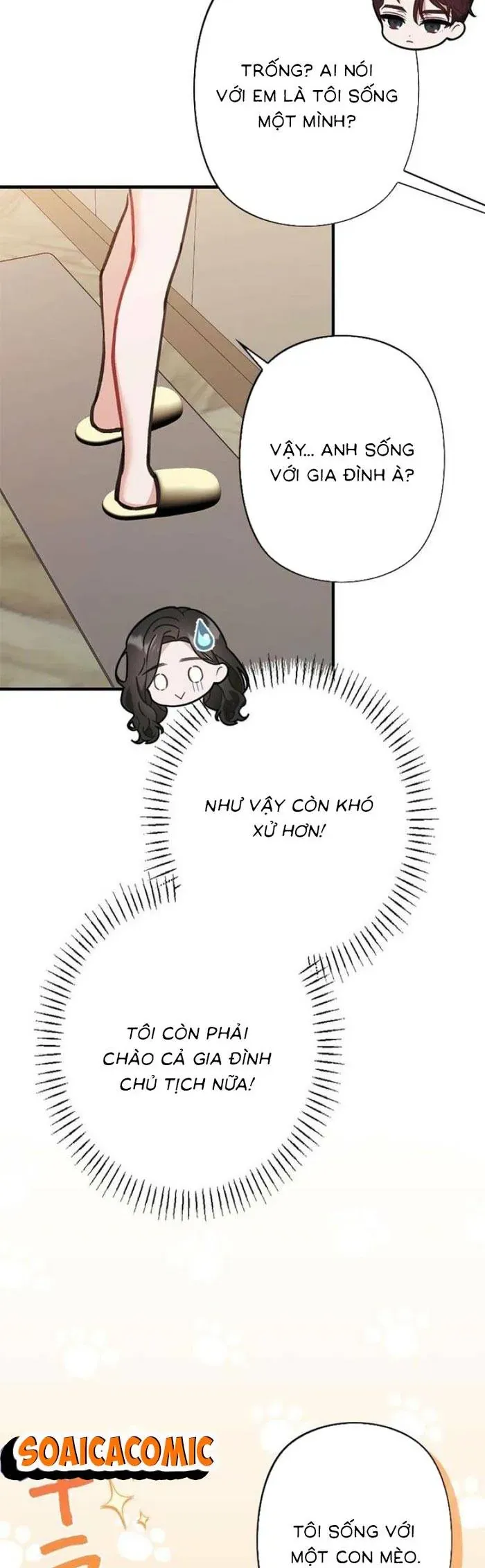 Lần Đầu Của Tổng Tài Chapter 17.2 - 26