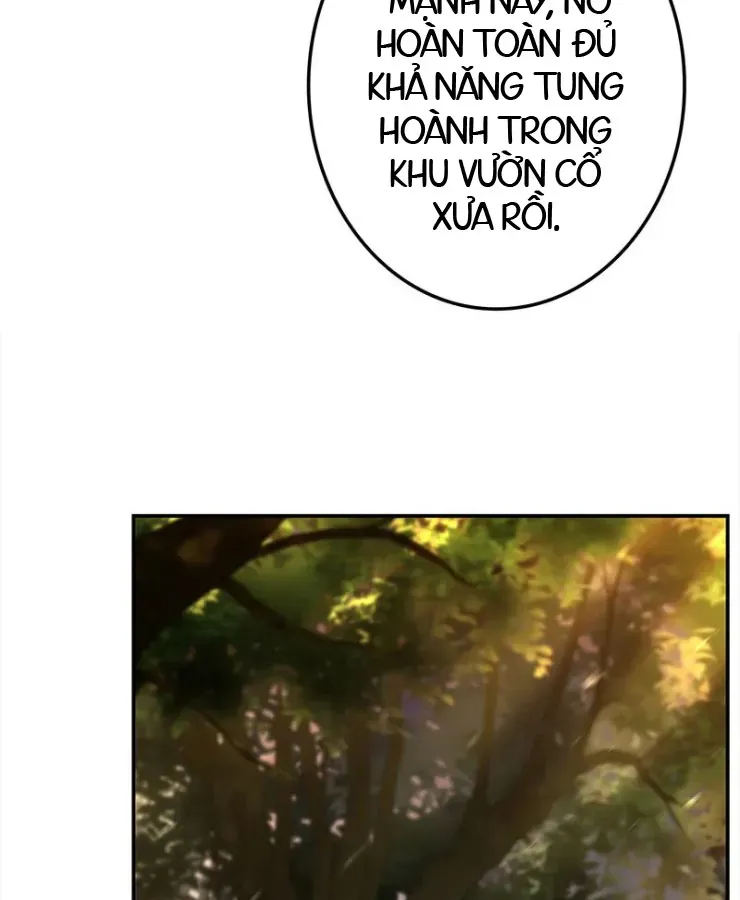 Thánh Giả Thăng Cấp Nhờ Chiêu Hồn Sư Chapter 3 - 92