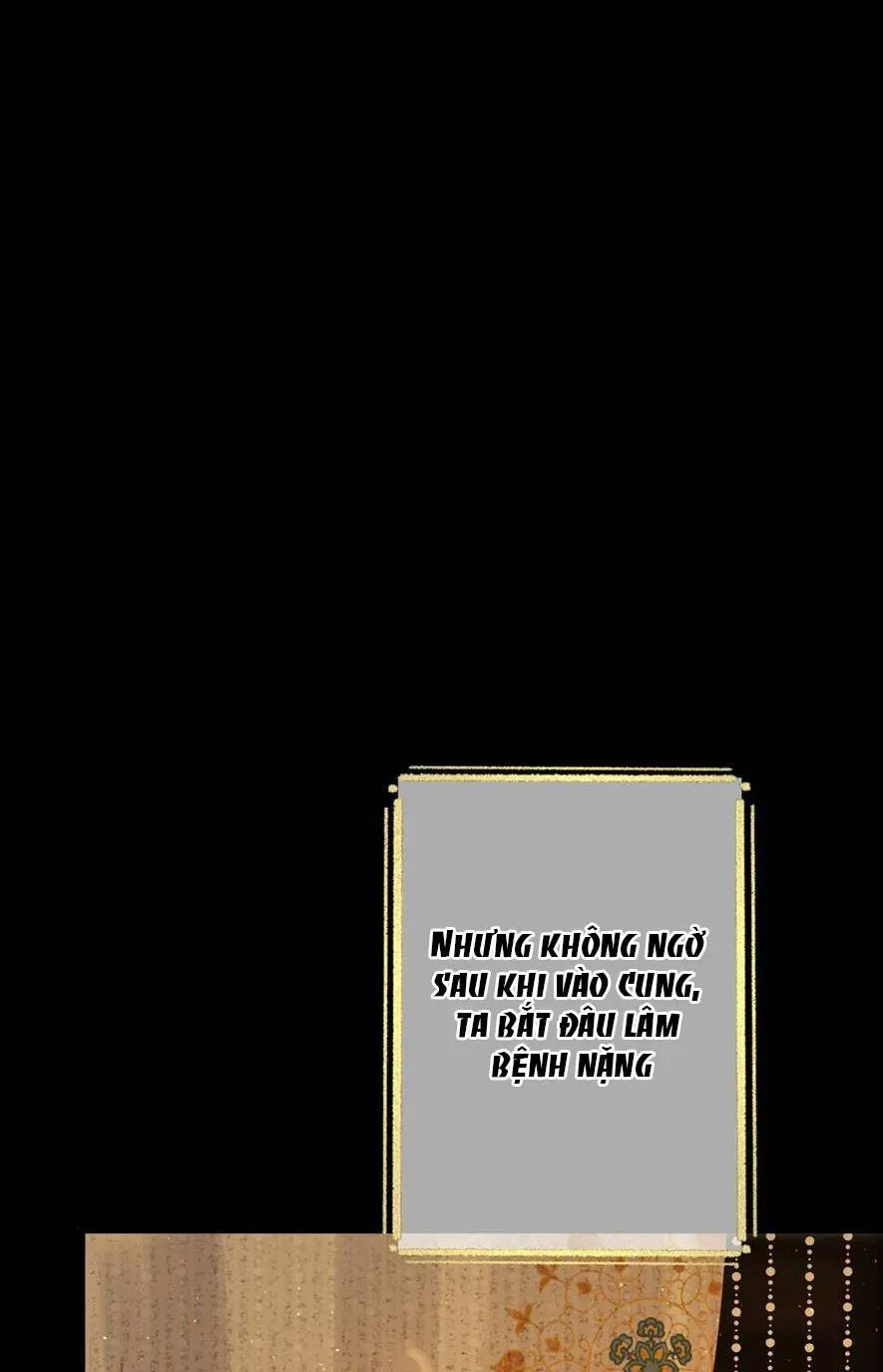 Sinh Chi Ác Phi Nghịch Tập Chapter 2 - 11