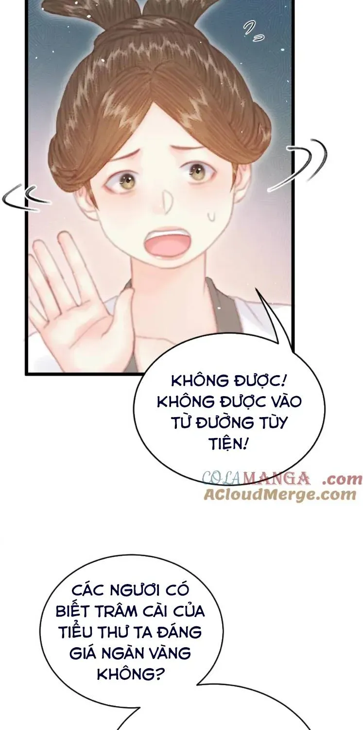 Sinh Chi Ác Phi Nghịch Tập Chapter 20 - 26