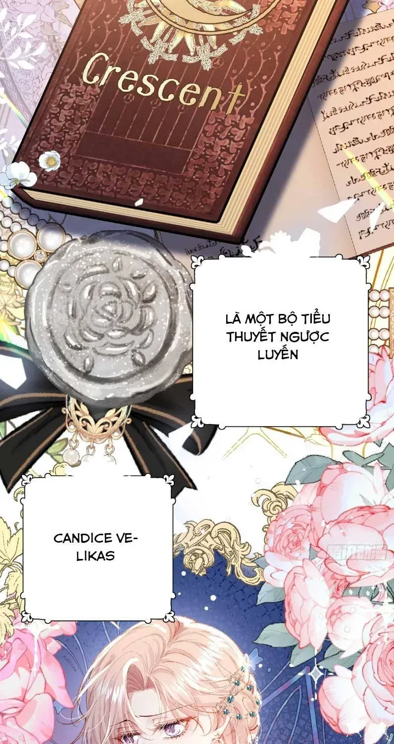 Nữ Chính Truyện Ngược Luyến Tình Yêu Đã Thức Tỉnh Chapter 1 - 70