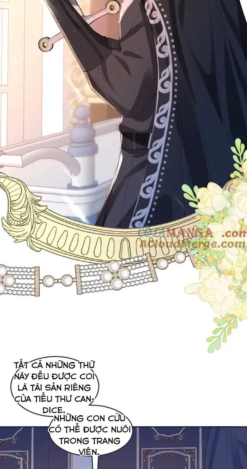 Nữ Chính Truyện Ngược Luyến Tình Yêu Đã Thức Tỉnh Chapter 13 - 11