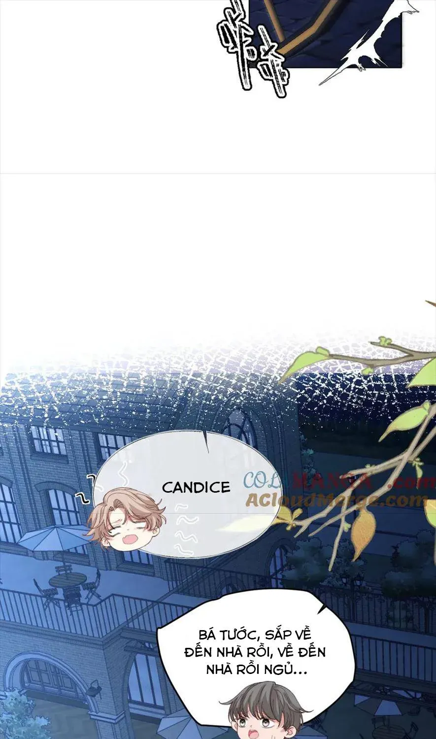Nữ Chính Truyện Ngược Luyến Tình Yêu Đã Thức Tỉnh Chapter 18 - 53