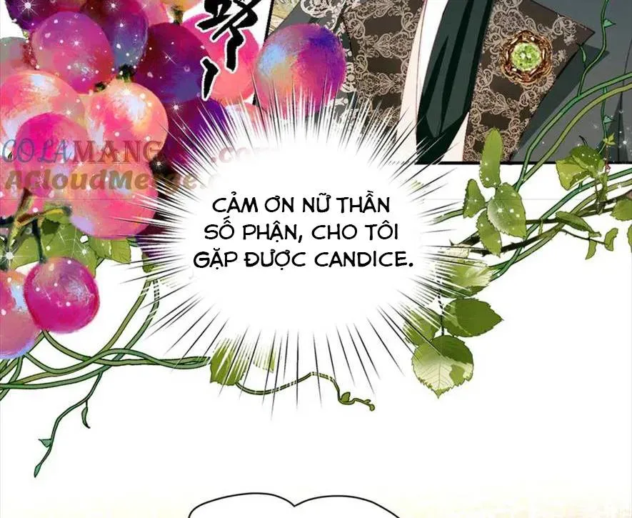 Nữ Chính Truyện Ngược Luyến Tình Yêu Đã Thức Tỉnh Chapter 20 - 45