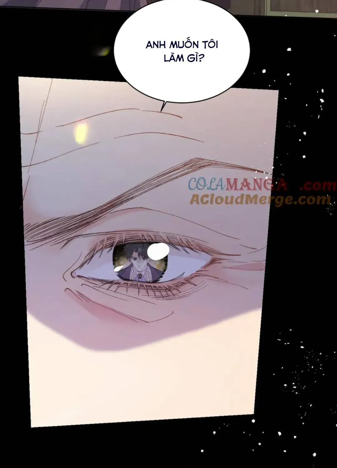 Nữ Chính Truyện Ngược Luyến Tình Yêu Đã Thức Tỉnh Chapter 26 - 64