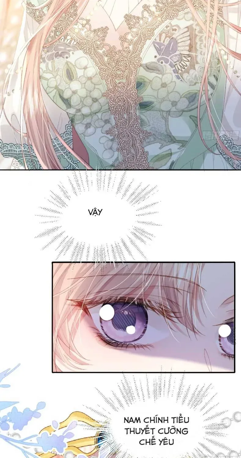 Nữ Chính Truyện Ngược Luyến Tình Yêu Đã Thức Tỉnh Chapter 6 - 48