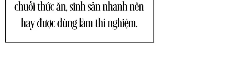 Tuyệt Thế Độc Ma Là Chủ Công Ty Dược Phẩm Chapter 3 - 96