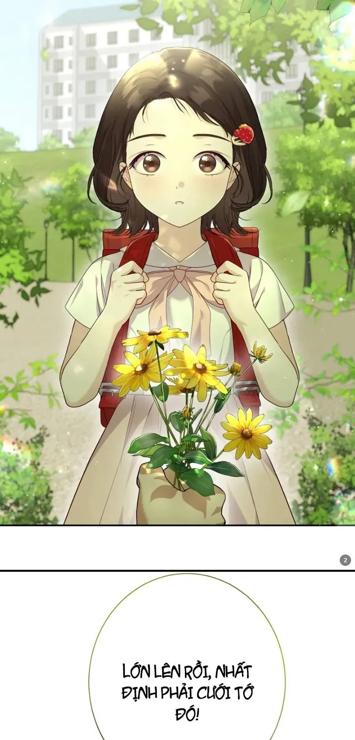 Hẹn Ước Sau Mưa Chapter 1 - 15