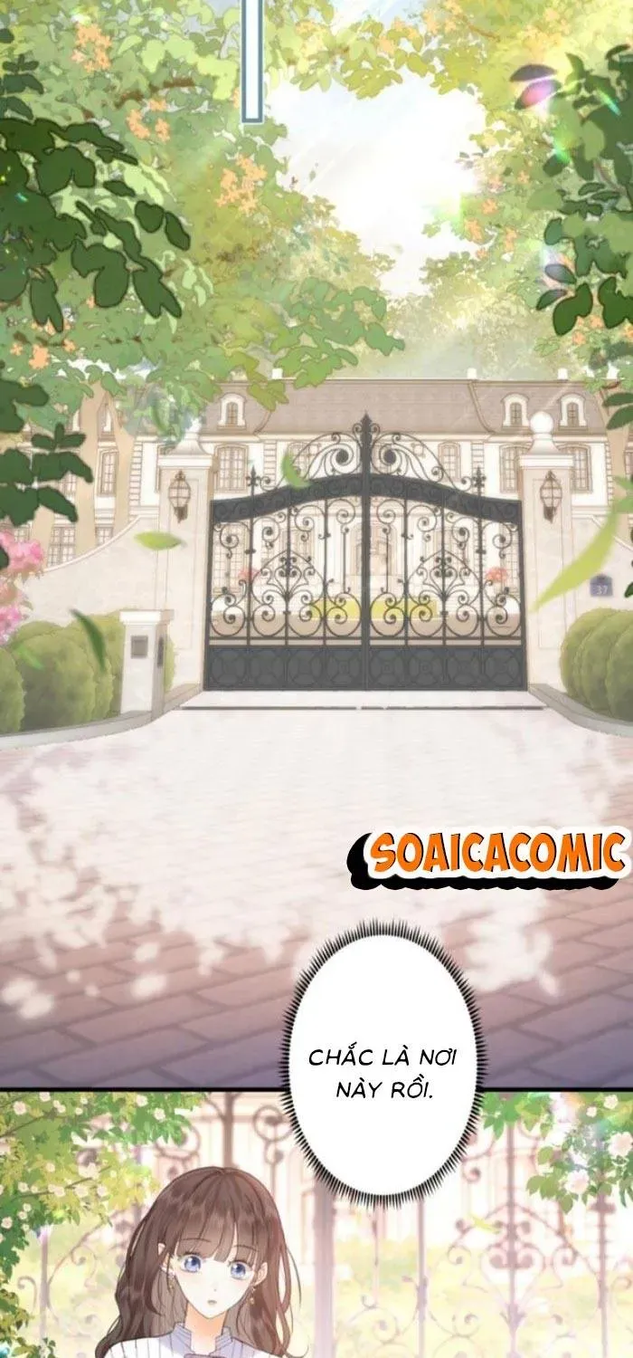 Khi Người Yêu Cũ Si Mê Tôi Chapter 1.1 - 38