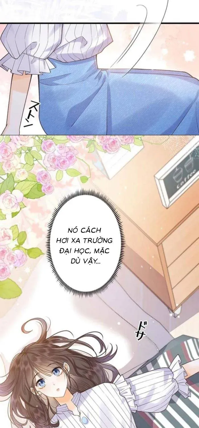 Khi Người Yêu Cũ Si Mê Tôi Chapter 1.2 - 15