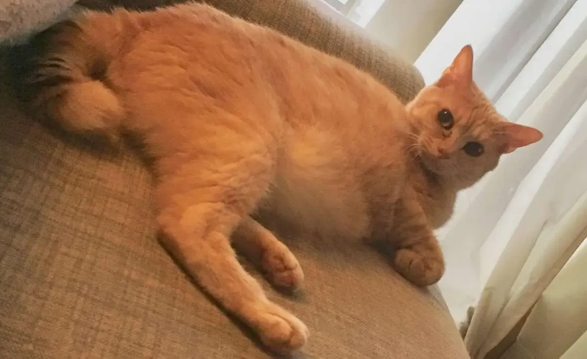 Mối Nguy Trong Trái Tim Tôi Chapter 33 - 17