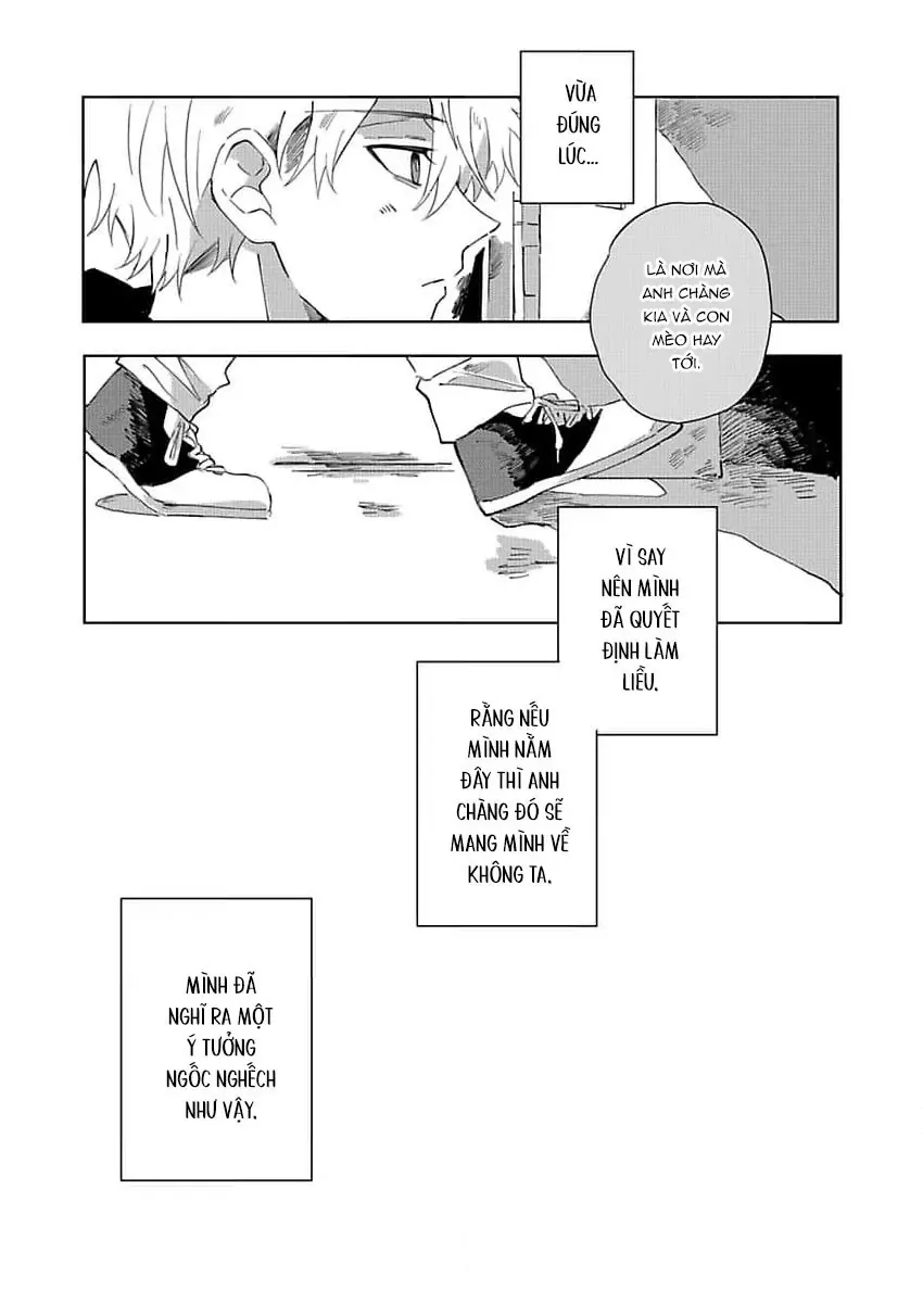 Neko No Tsuide Ni Otoko Wo Hiroimashita Chapter 2 - 19