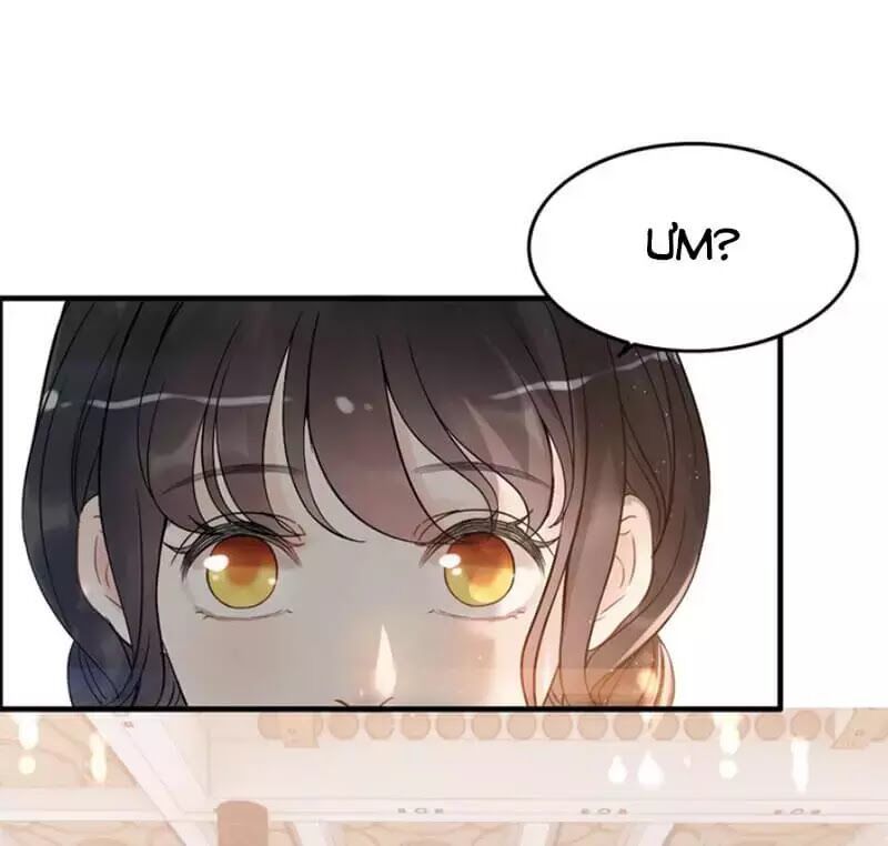 Cô Vợ Hợp Đồng Bỏ Trốn Của Tổng Giám Đốc Chapter 217.1 - 37