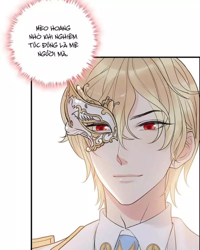 Cô Vợ Hợp Đồng Bỏ Trốn Của Tổng Giám Đốc Chapter 217.2 - 21