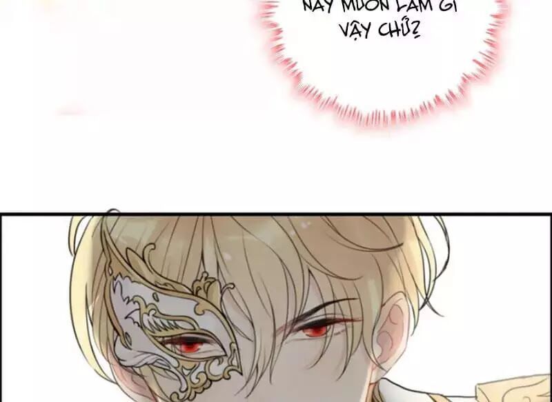 Cô Vợ Hợp Đồng Bỏ Trốn Của Tổng Giám Đốc Chapter 217.2 - 41