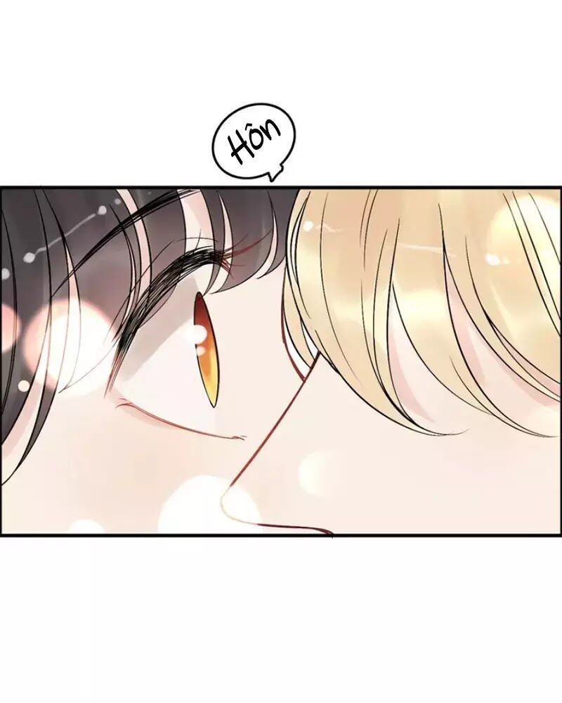 Cô Vợ Hợp Đồng Bỏ Trốn Của Tổng Giám Đốc Chapter 217.2 - 43